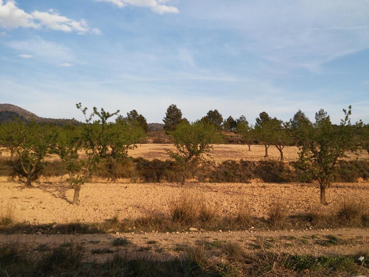 Casa Rural El Carmen De La Sierra Yecla Exteriér fotografie