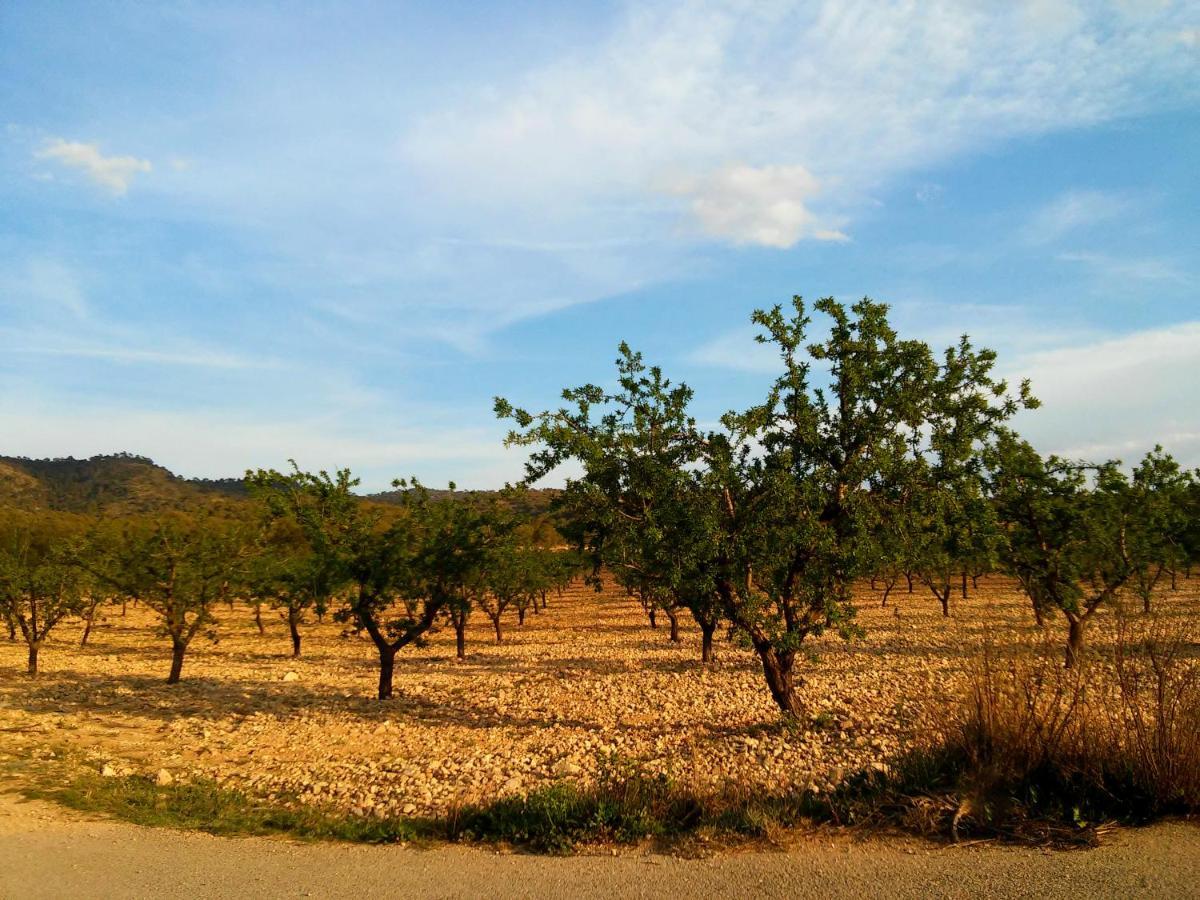 Casa Rural El Carmen De La Sierra Yecla Exteriér fotografie