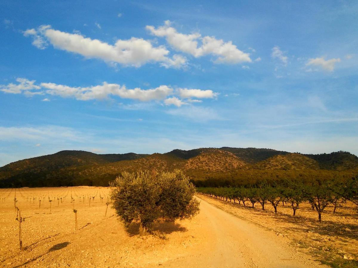 Casa Rural El Carmen De La Sierra Yecla Exteriér fotografie
