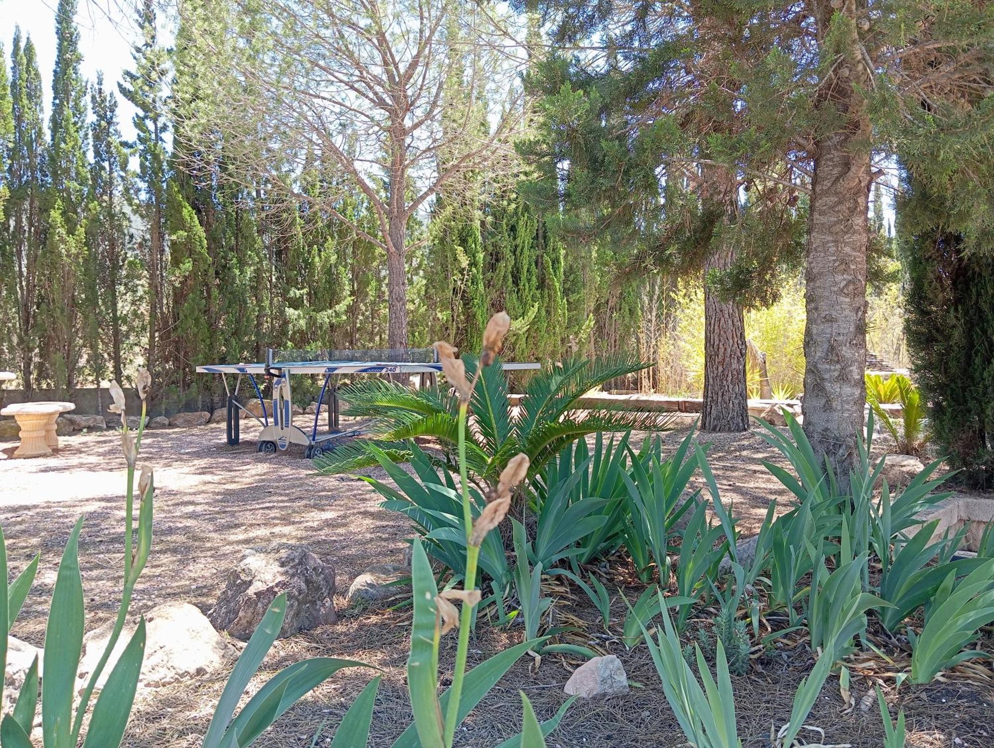 Casa Rural El Carmen De La Sierra Yecla Exteriér fotografie